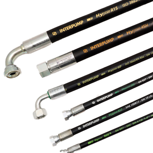 estándar internacional GSHydro España